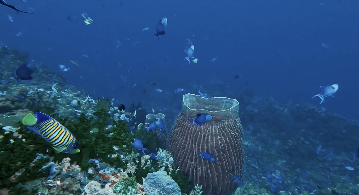 Verde Island, Philippines